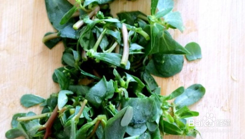 马齿苋素馅怎么做好吃