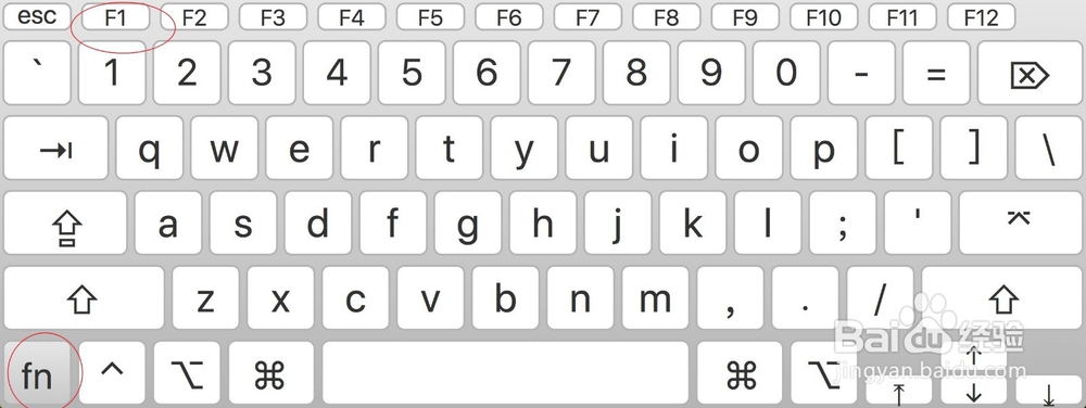 Macbook上最好用的截图软件Snipaste怎么用