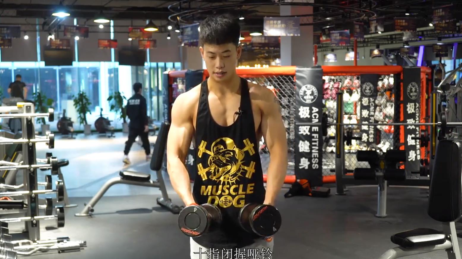 如何进行三角肌训练?