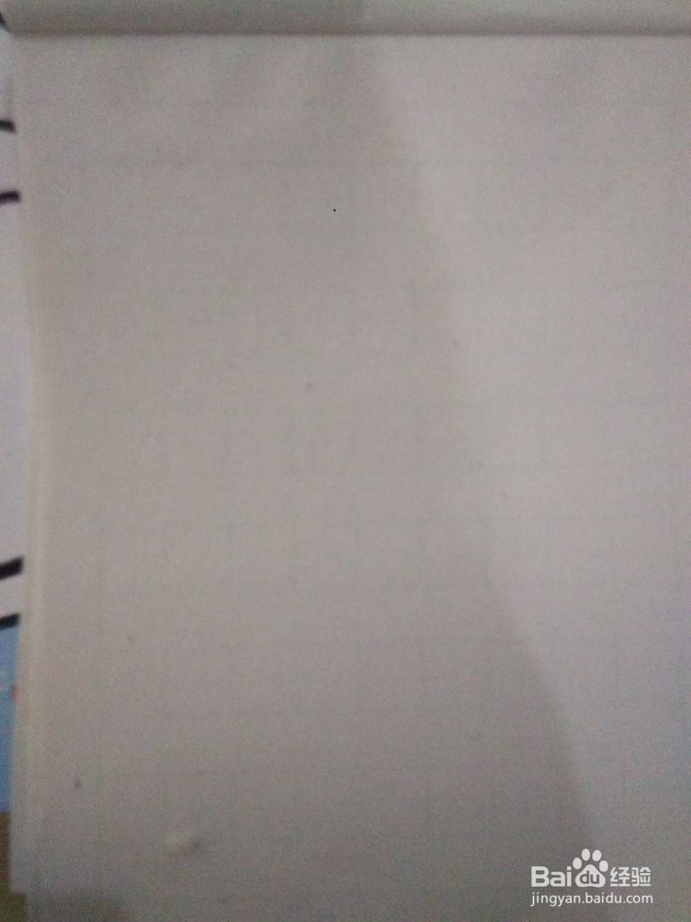 快速画一颗椰子树