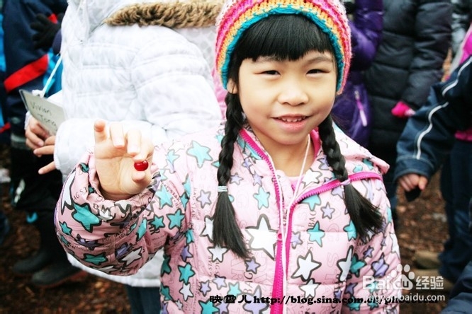 温哥华小学生郊游学什么