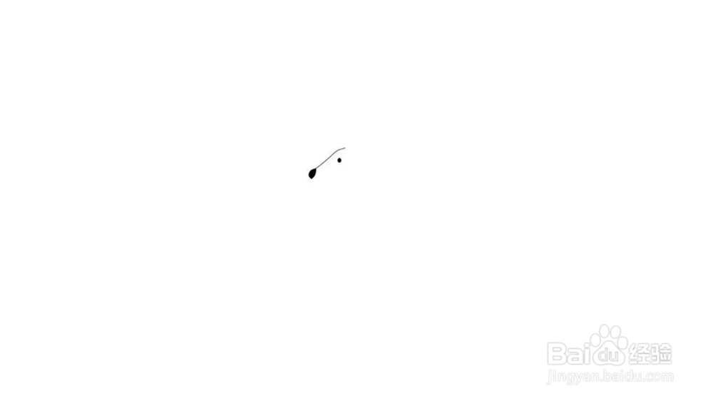 袋鼠简笔画教程