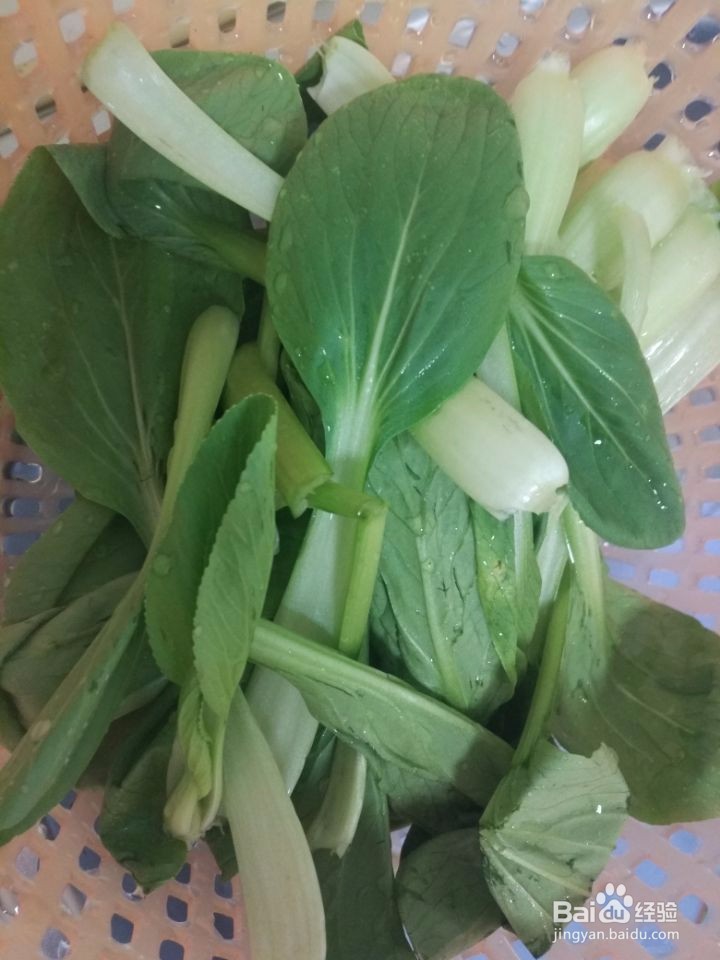 一个人的蛋炒饭