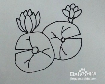 怎么画荷花的简笔画？