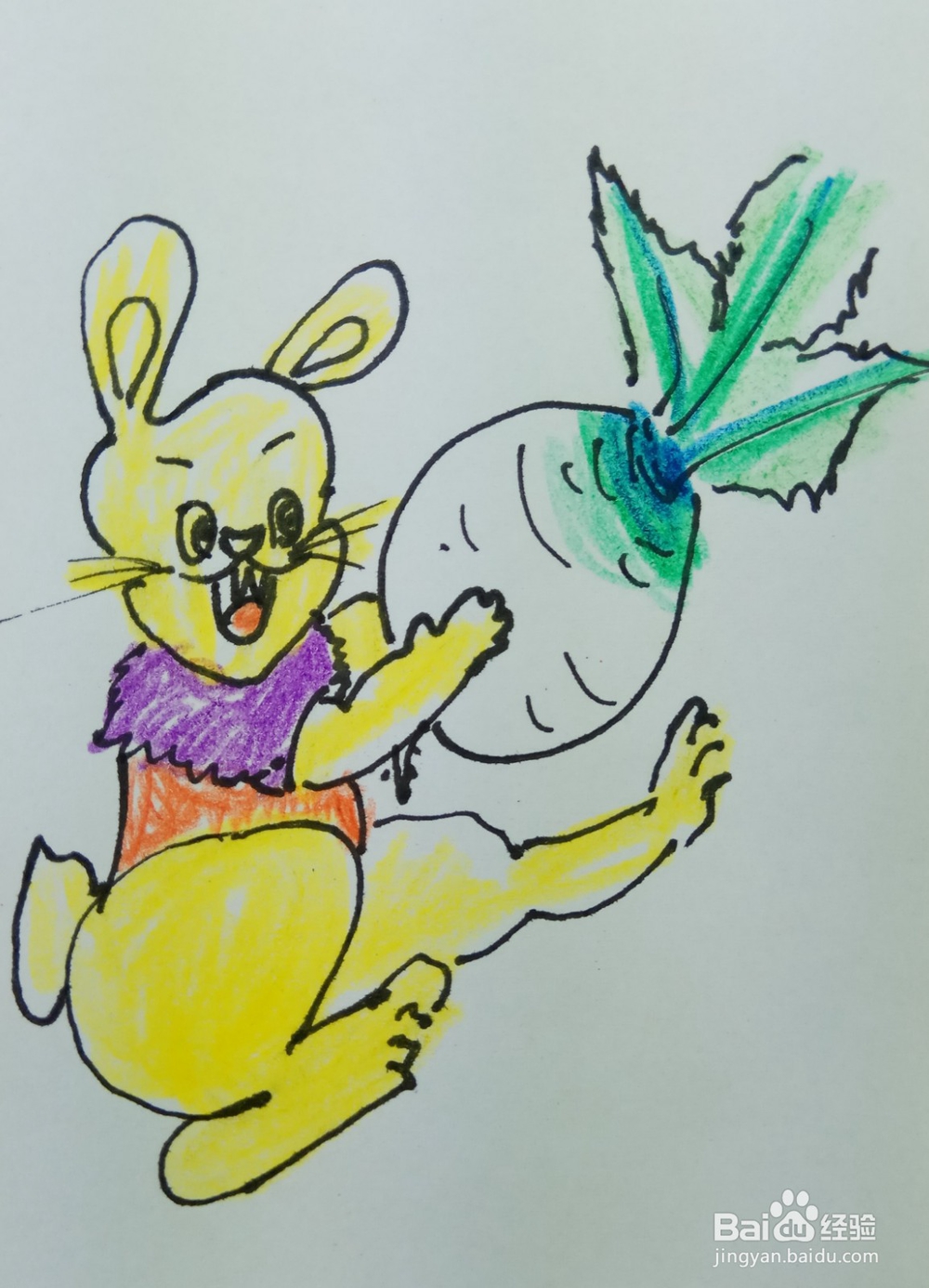 怎样画简笔画“小白兔爱萝卜”?