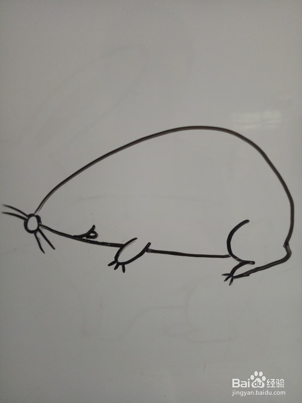 简单的画只小老鼠