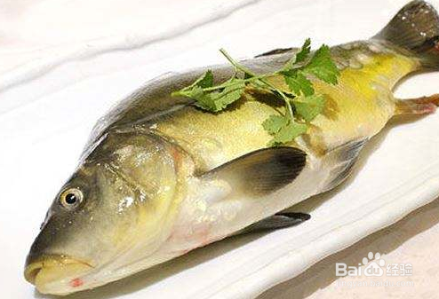 金宝鱼怎么做好吃