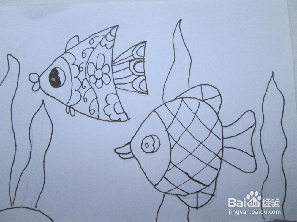 黑白线描画《美丽的鱼儿》的作画步骤