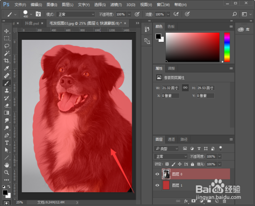 PS怎么扣动物毛发