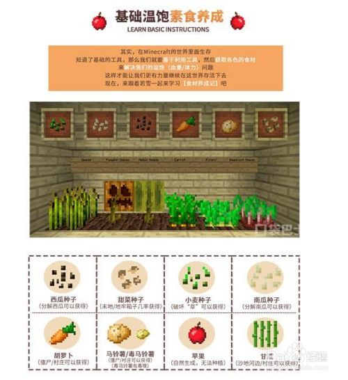 自给自足解决温饱我的世界食材基础攻略 百度经验 自给自足解决温饱我的世界食材基础攻略 百度经验