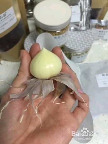 适合秋冬的客家特色腌菜