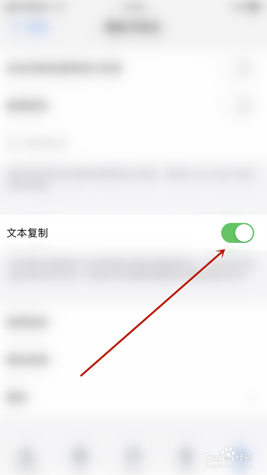 如何设置Zoho Mail文本复制开启