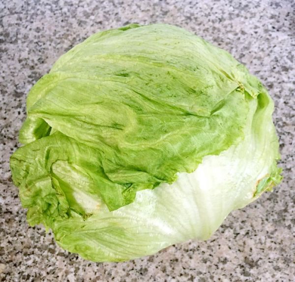 蚝油手撕西生菜