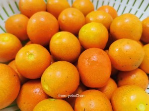 养生食补佛系金橘酱的做法