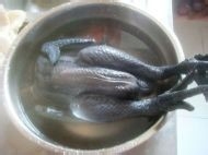 教你制作美味好喝的枸杞红枣乌鸡汤