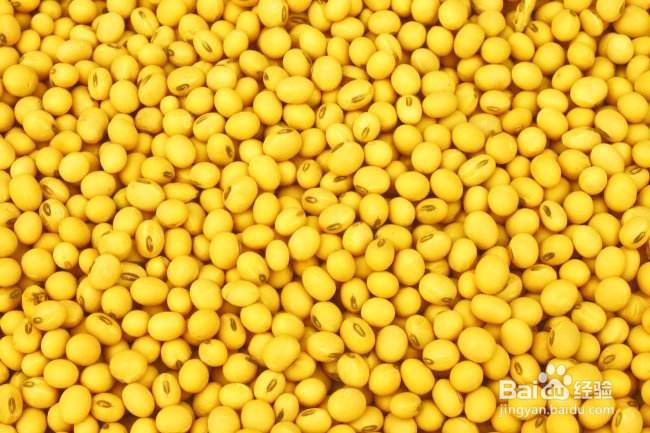 你真的会打豆浆吗