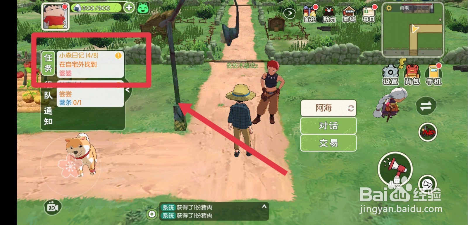 小森生活小森日记怎么完成