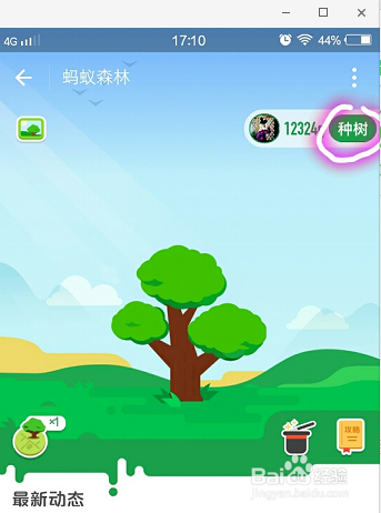 支付宝APP蚂蚁森林怎么玩？