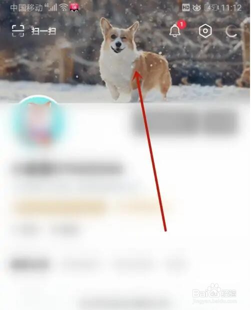 搜孤视频背景主题怎么切换