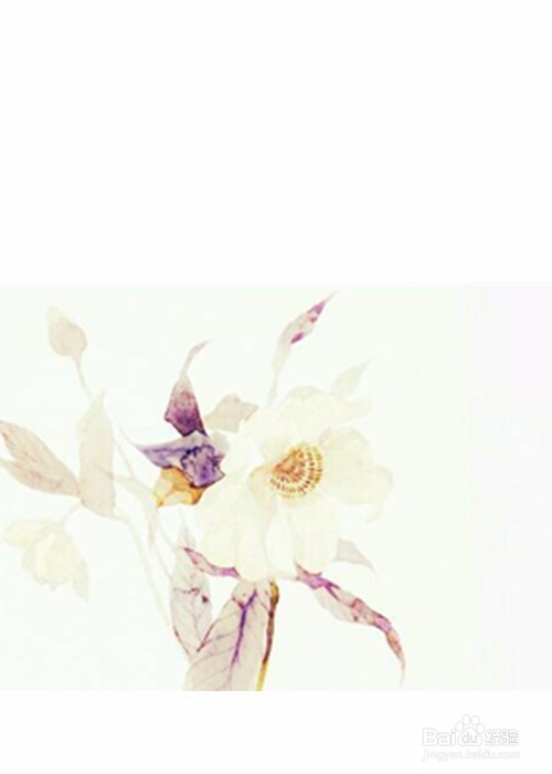 (苏静婉)教程.素锦.封面.醉月秋色花凋零人易散