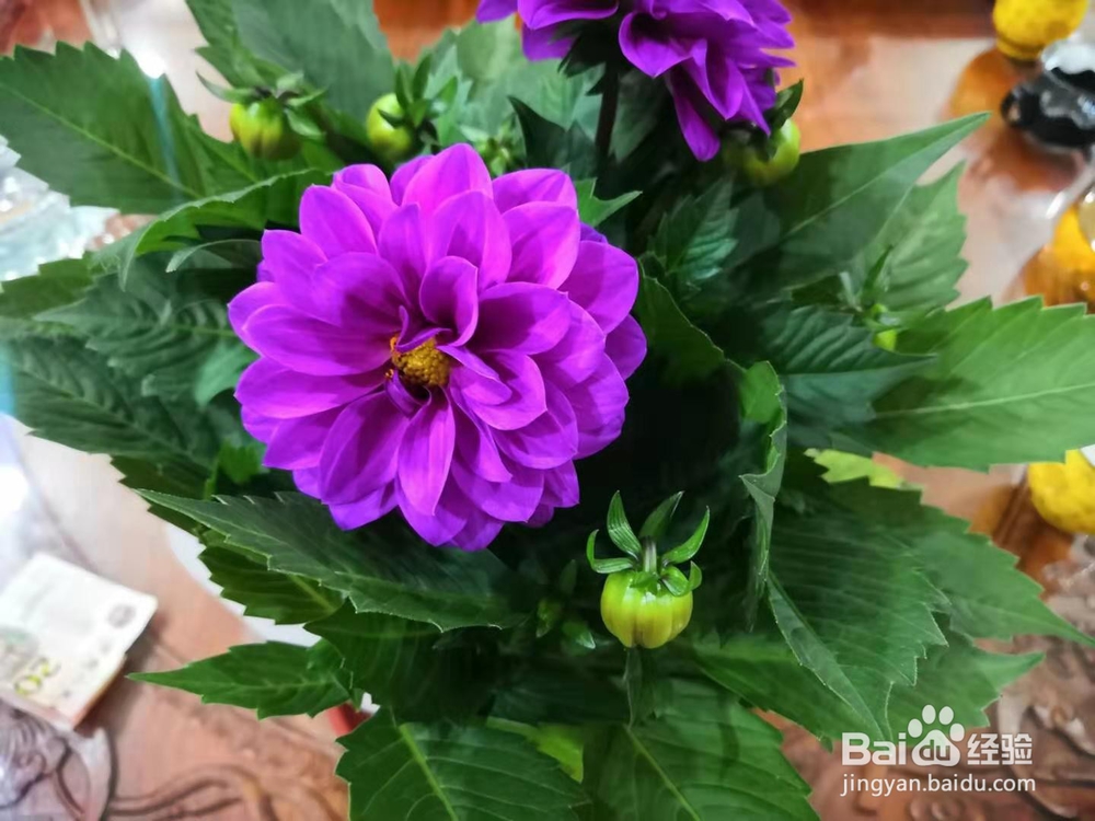 华为手机拍照技巧