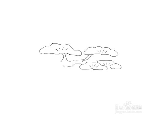 小学生青松怎么画