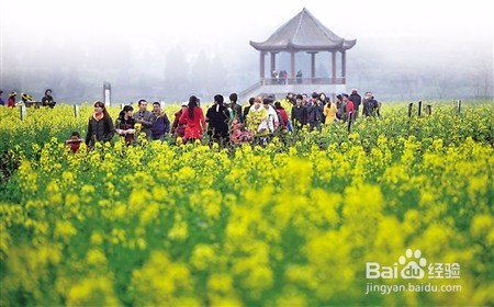 怎么在重庆玩得尽兴