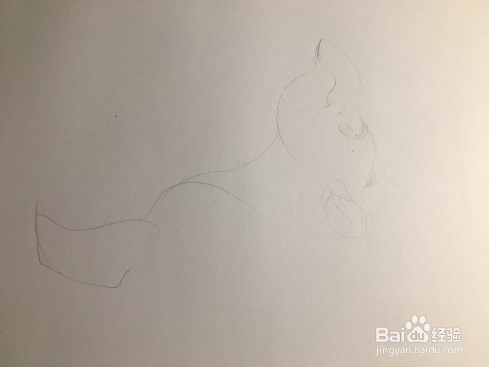 画河马 河马的画法 河马怎么画 简笔画 手绘