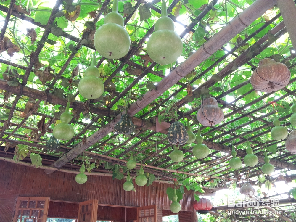 广西柳州三江侗族自治县游记：[2]丹洲古城