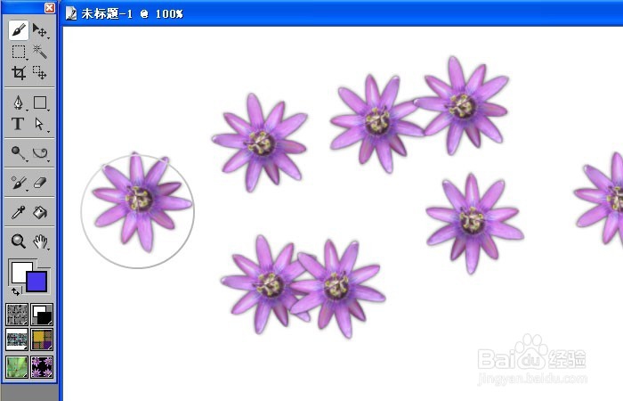 painter花蕾树叶喷图效果如何添加