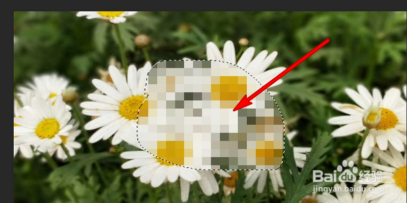 Photoshop添加马赛克