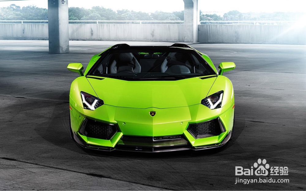 自己开车撞树上保险怎么赔