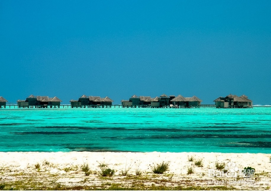 如何45天成功菲律宾移民