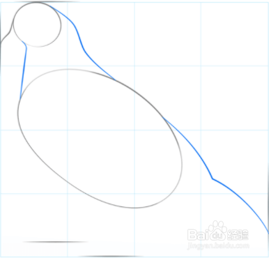 如何绘制鸽子