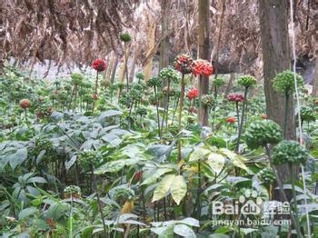 耳鸣的治疗方法是什么