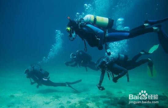 股骨头坏死怎么止痛