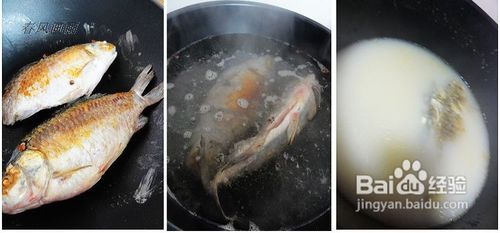 冬季温补菜---鲫鱼萝卜汤
