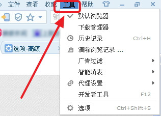 搜狗浏览器表单填写错误怎么办