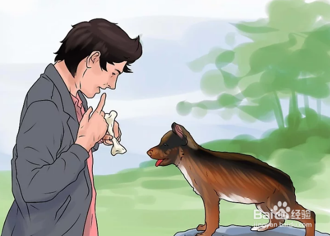 如何训练德国牧羊犬