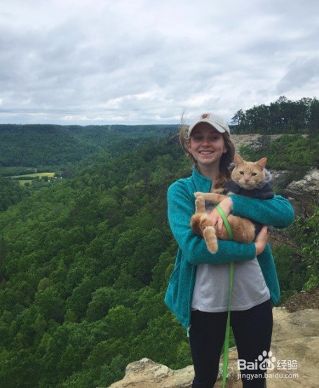 跟着宠主浪迹天涯,四海为家,成为猫生大赢家~