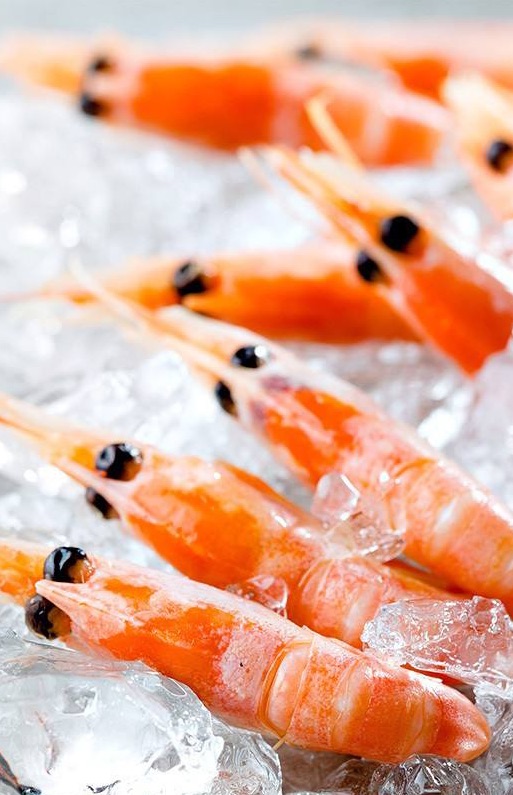 鲜贝焗加拿大北极虾