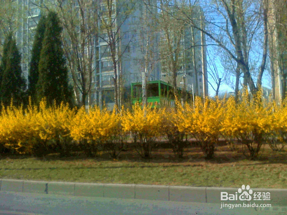 和女朋友发生政治分歧怎么办?