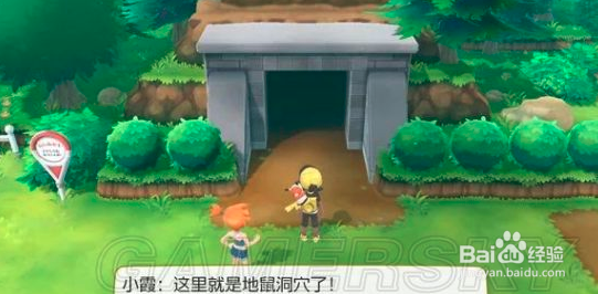 switch宝可梦攻略