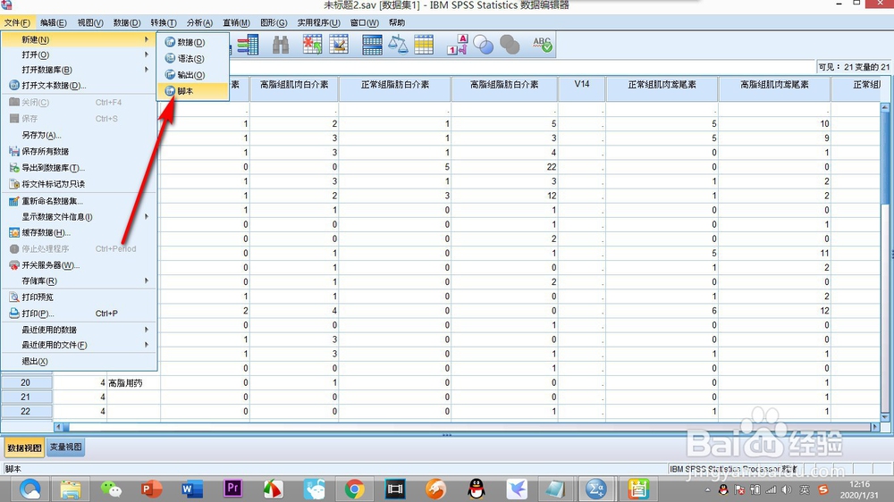 如何打开SPSS中的脚本命令？