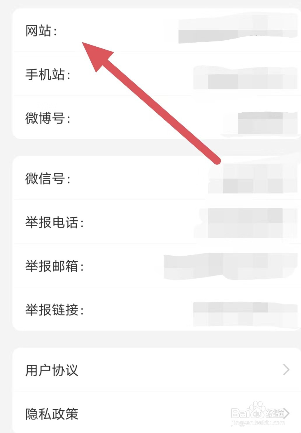 观察者如何查看网站