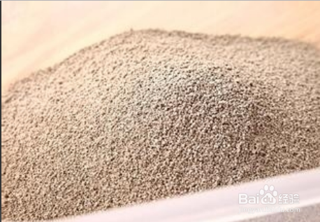 捡了一只猫怎么养