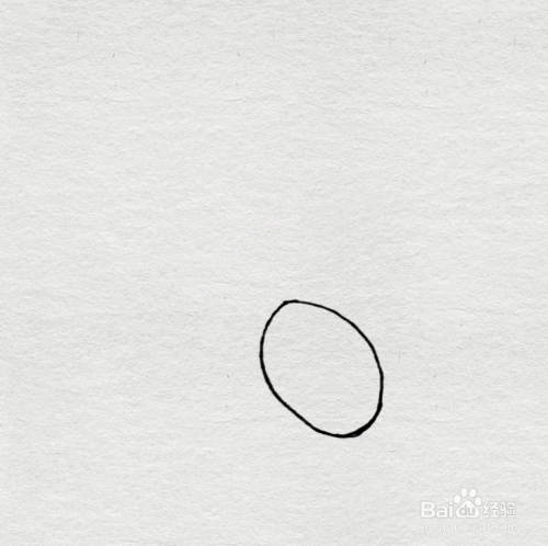 简笔画--如何画蛛蜘和蜘网的简笔画