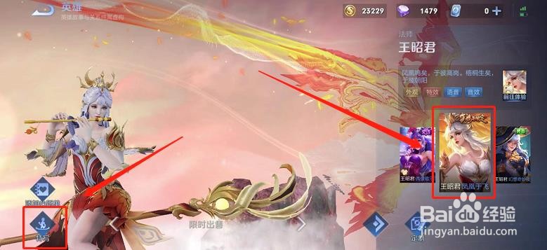 如何查看王昭君的凤凰于飞皮肤海报