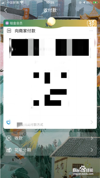 支付宝付款码换肤
