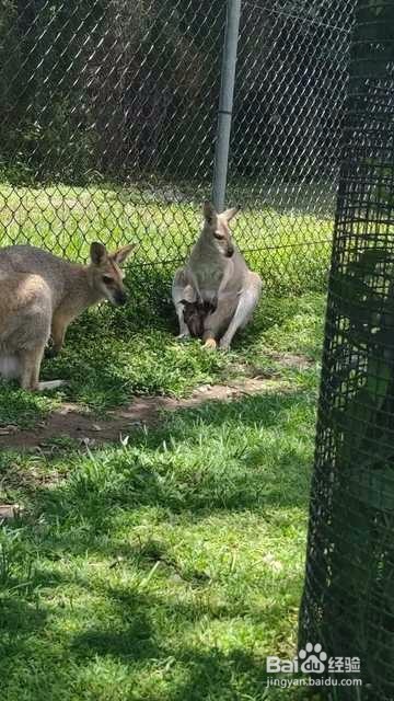 如何安排孩子的寒假生活